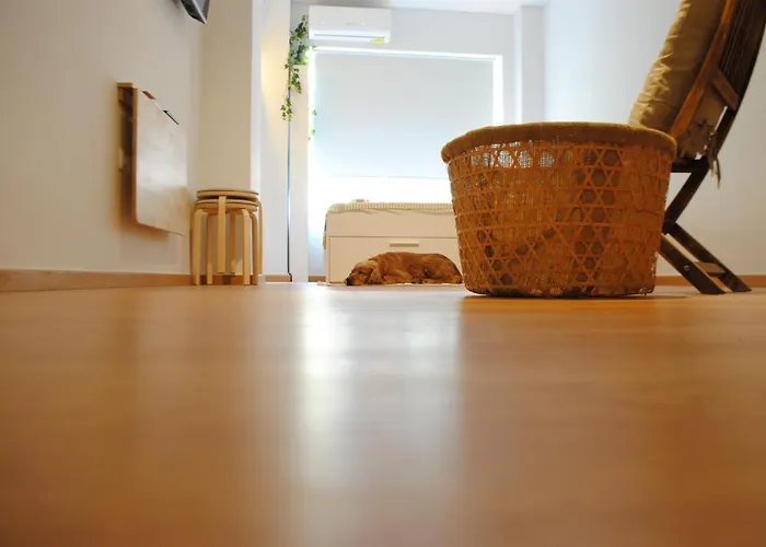 Economy B1 Budget Apartamento Larissa